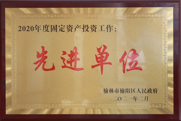 2020年固定资产投资先进单位.jpg