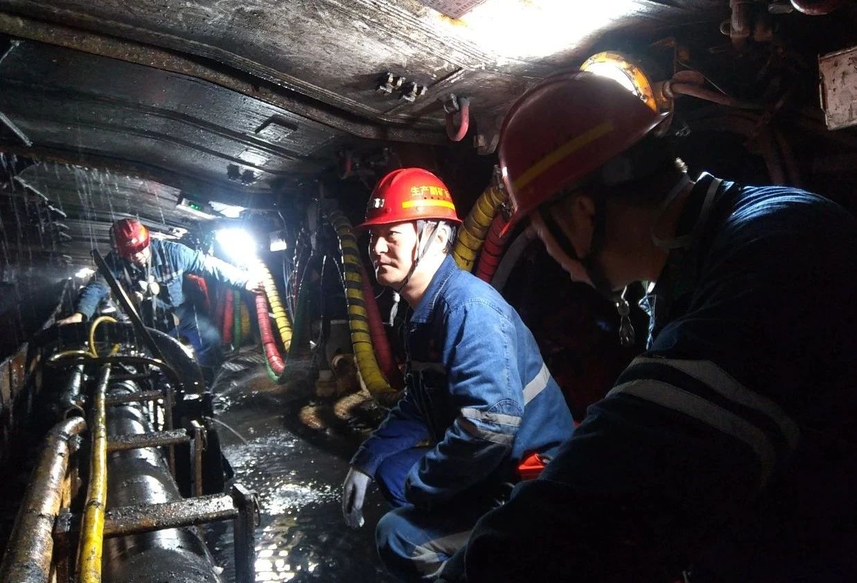 1734055280323152.jpeg 3.jpg