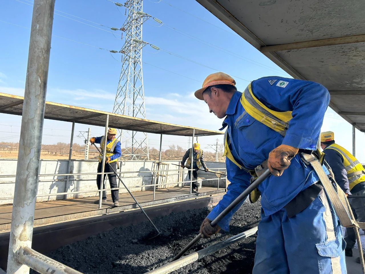 1734309209114975.jpeg 1.jpg