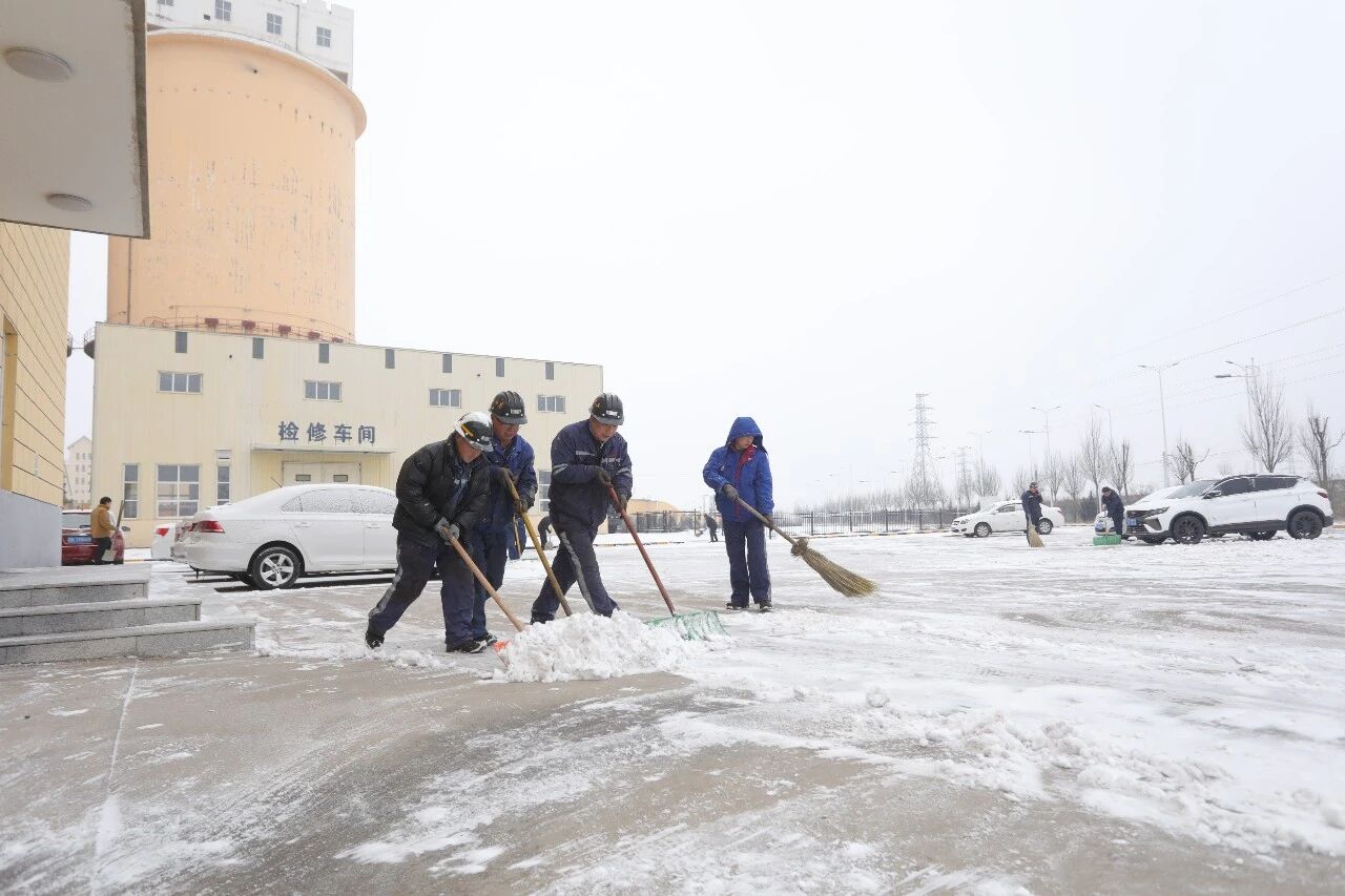 1768523008252499.jpeg 3.jpg