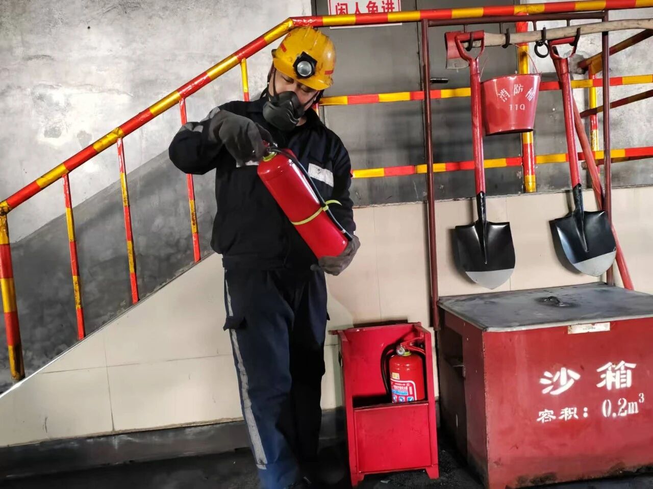 1769647414974772.jpeg 3.jpg