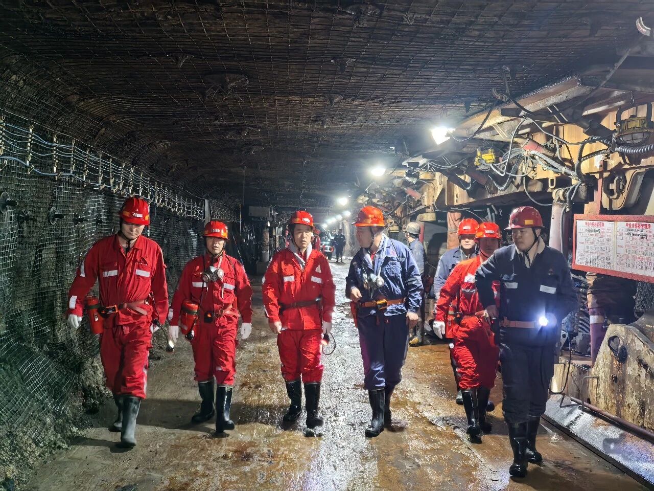 1771148266577516.jpeg 1.jpg