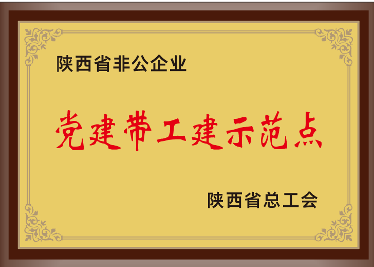 36.2023年，被陕西省总工会授予陕西省非公企业党建带工建示范点；.png