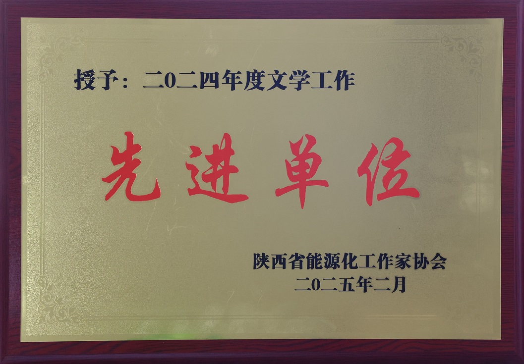 46.2025年，被陕西省能源化工作家协会授予2024年度文学工作先进单位；.jpg